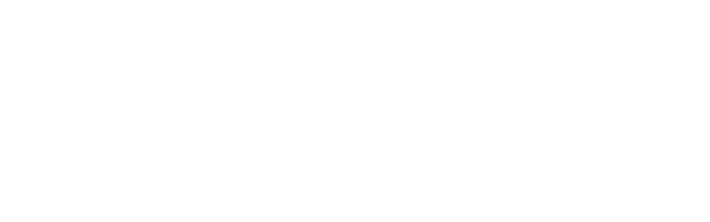 celless logo